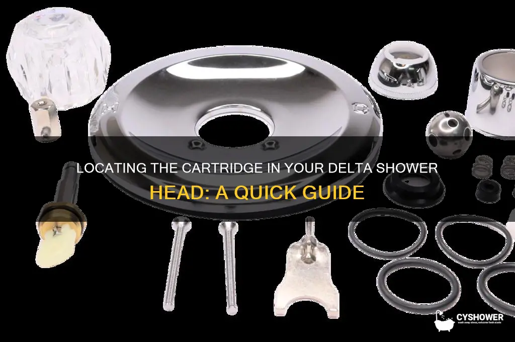 where is the cartridge on a delta shower head