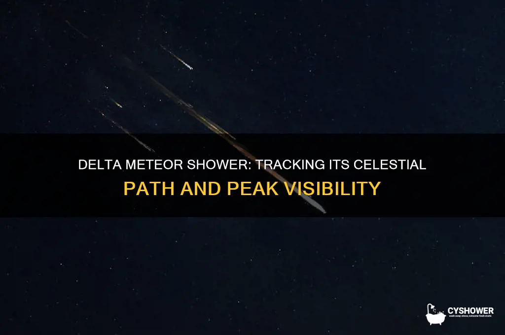 where is the delta meteor shower