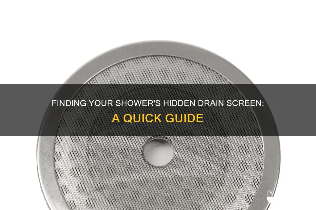 where is the drain screen in a shower