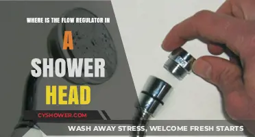 Locate Your Shower Head's Flow Regulator: A Quick Guide