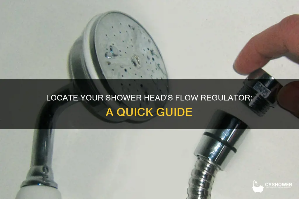 where is the flow regulator in a shower head