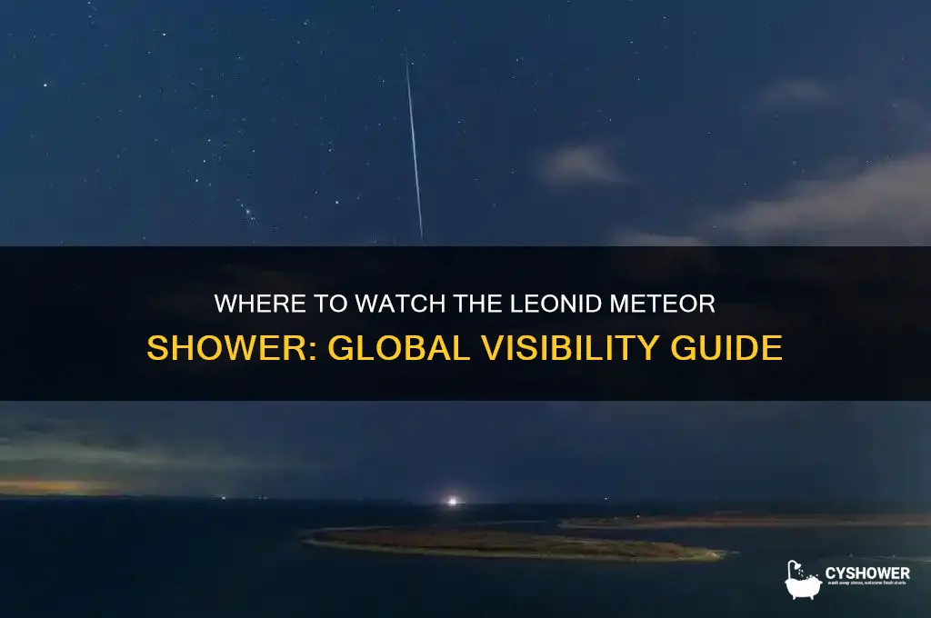where is the leonid meteor shower visible from