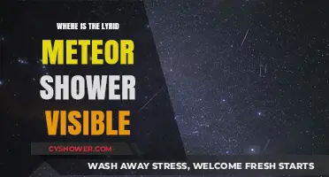 Where to Watch the Lyrid Meteor Shower: Global Visibility Guide
