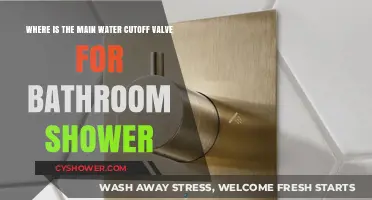 Locate Your Bathroom Shower's Main Water Cutoff Valve Easily