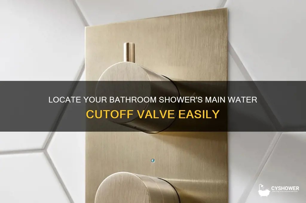 where is the main water cutoff valve for bathroom shower