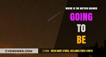 Meteor Shower 2023: Best Viewing Locations and Peak Times