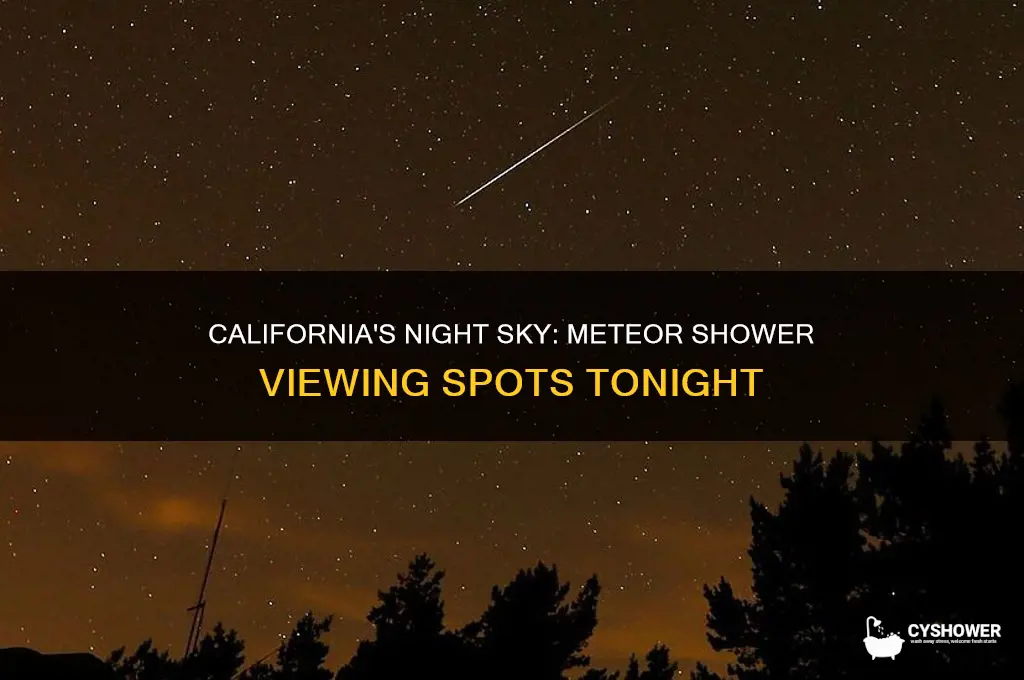 where is the meteor shower tonight in california