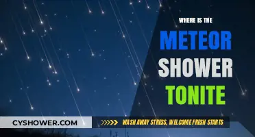 Stargazing Guide: Spot the Meteor Shower Tonight in Your Area