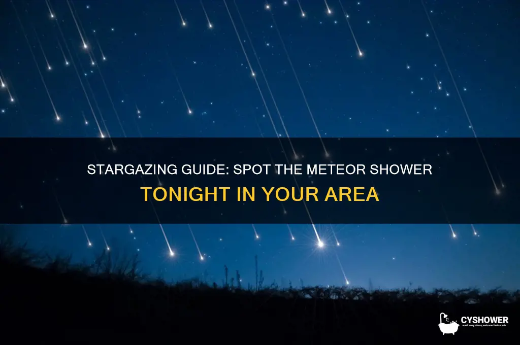 where is the meteor shower tonite