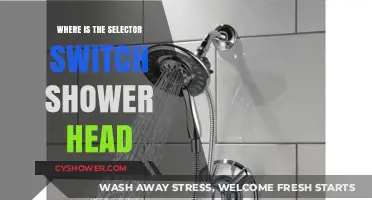 Locator Guide: Finding Your Selector Switch Shower Head Easily