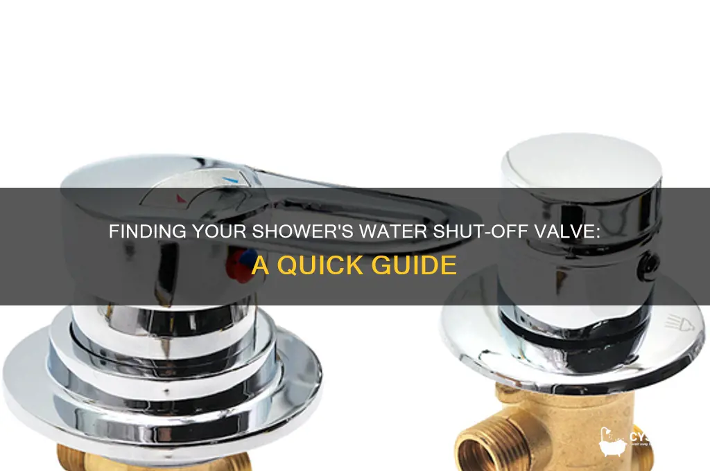 where is the water shut off valve for a shower