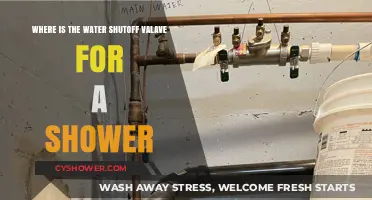 Locate Your Shower's Water Shutoff Valve: A Quick Guide