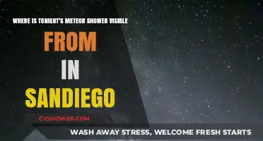 San Diego's Meteor Shower Viewing Guide: Where to Watch Tonight