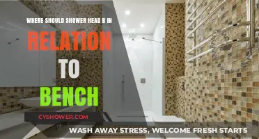 Optimal Shower Head Placement for Comfort and Safety on Your Bench