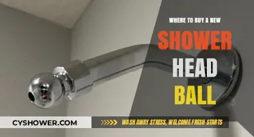 Best Places to Purchase a New Shower Head Ball Online