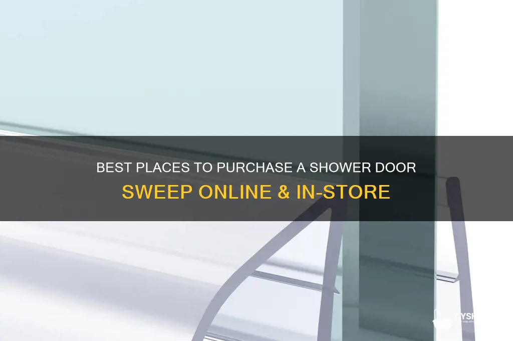 where to buy a shower door sweep