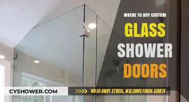 Top Places to Purchase Custom Glass Shower Doors Online & Locally