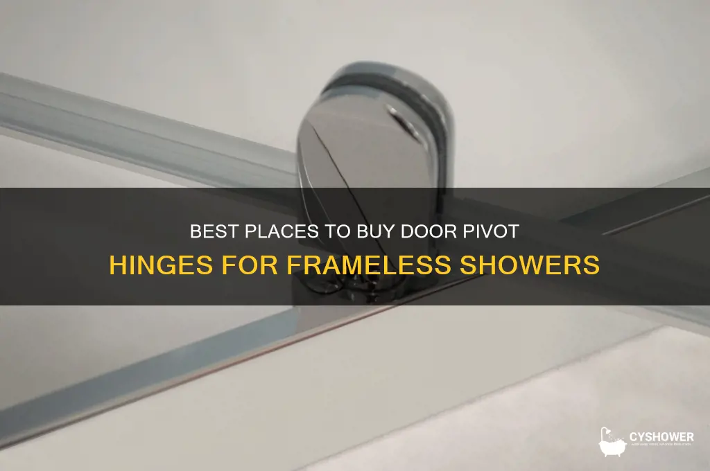 where to buy door pivot hinge for frameless shower