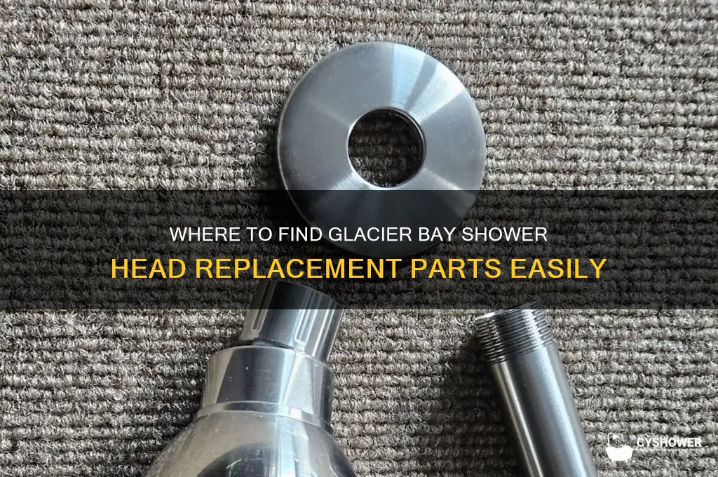 where to buy glacier bay shower head parts