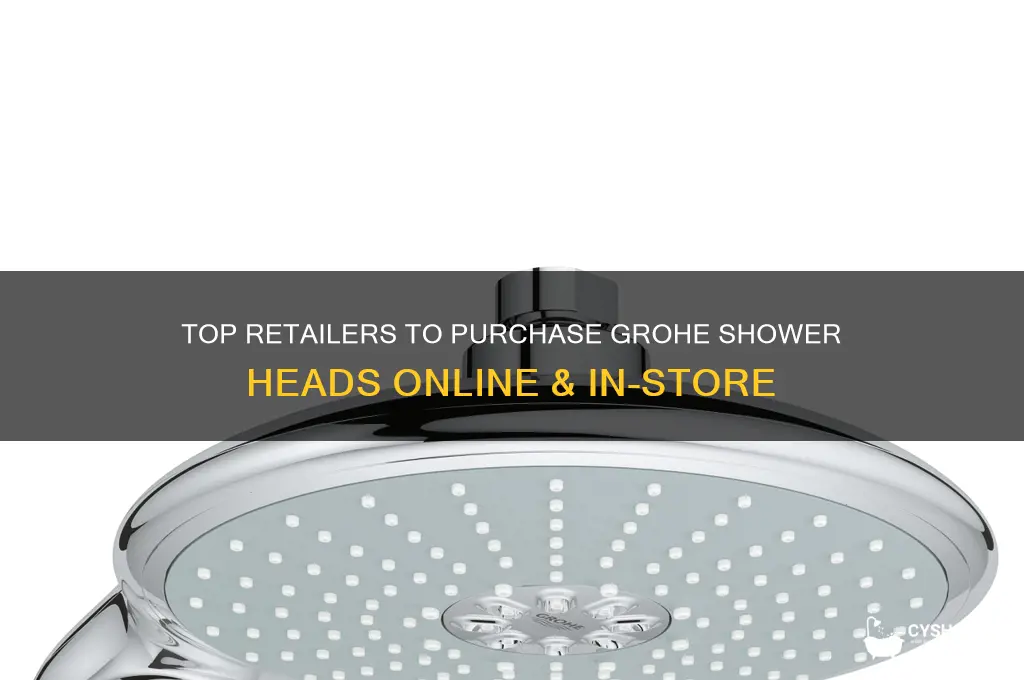 where to buy grohe shower head