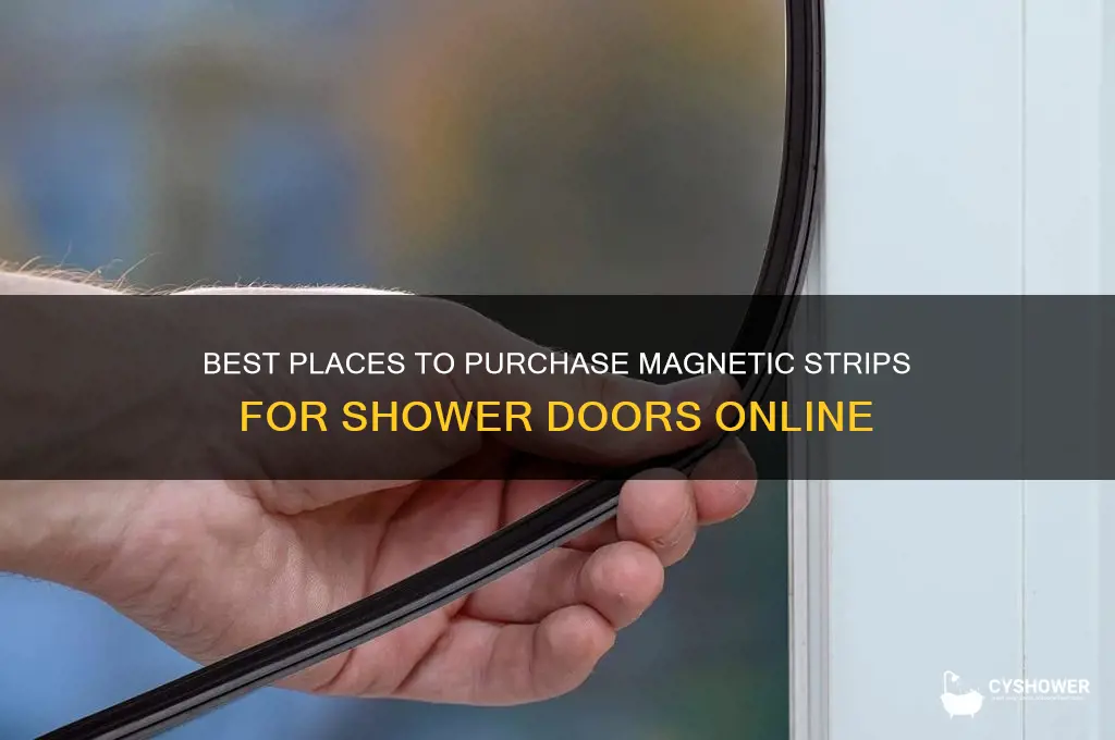 where to buy magnetic strips for shower doors