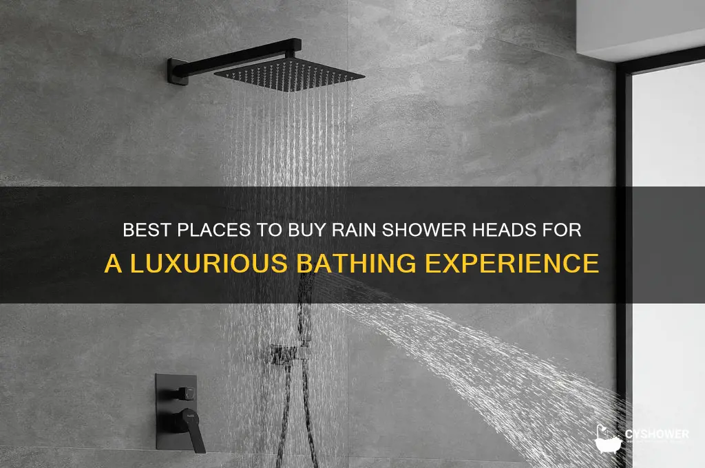 where to buy rain shower head