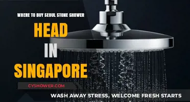 Where to Buy Seoul Stone Shower Head in Singapore: Top Retailers