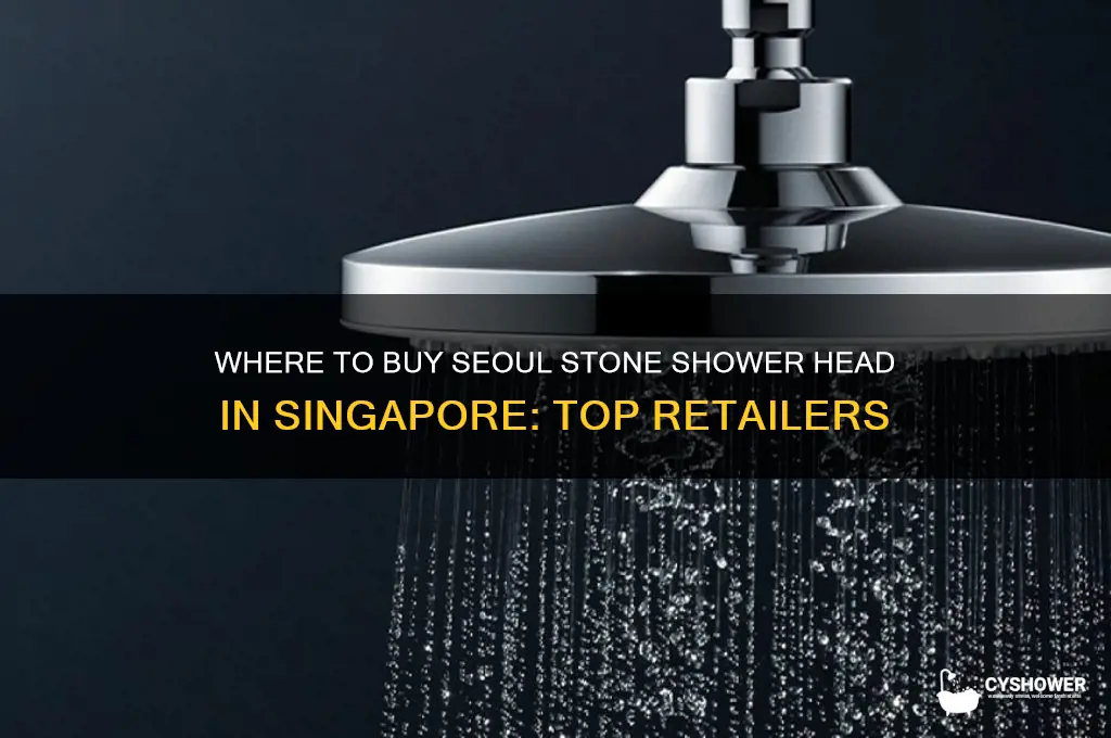 where to buy seoul stone shower head in singapore