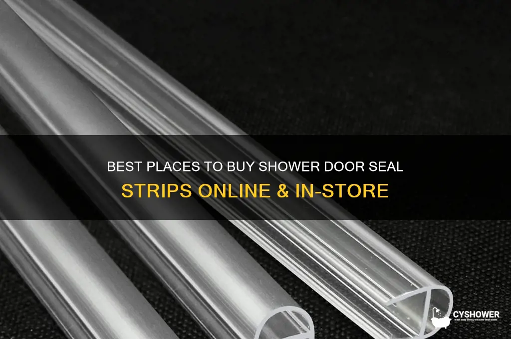 where to buy shower door seal strip
