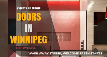 Top Winnipeg Stores for Stylish and Durable Shower Doors