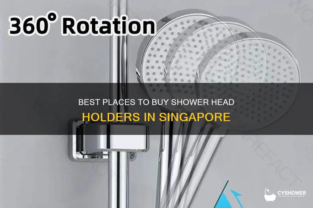 where to buy shower head holder in singapore
