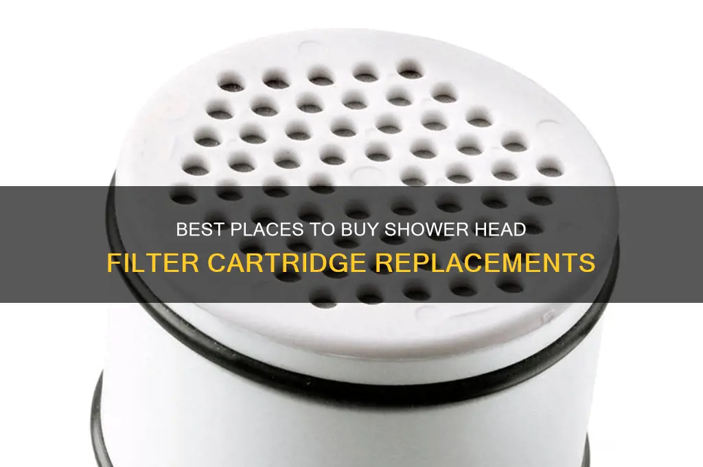 where to buy shower head replacement filter cartridge