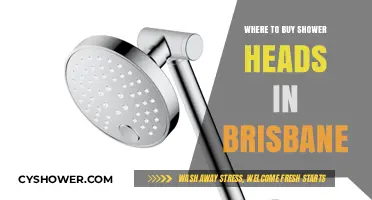 Top Brisbane Stores for Quality Shower Heads: A Buyer's Guide