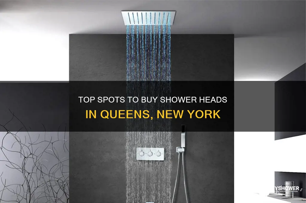 where to buy shower heads in queens new york