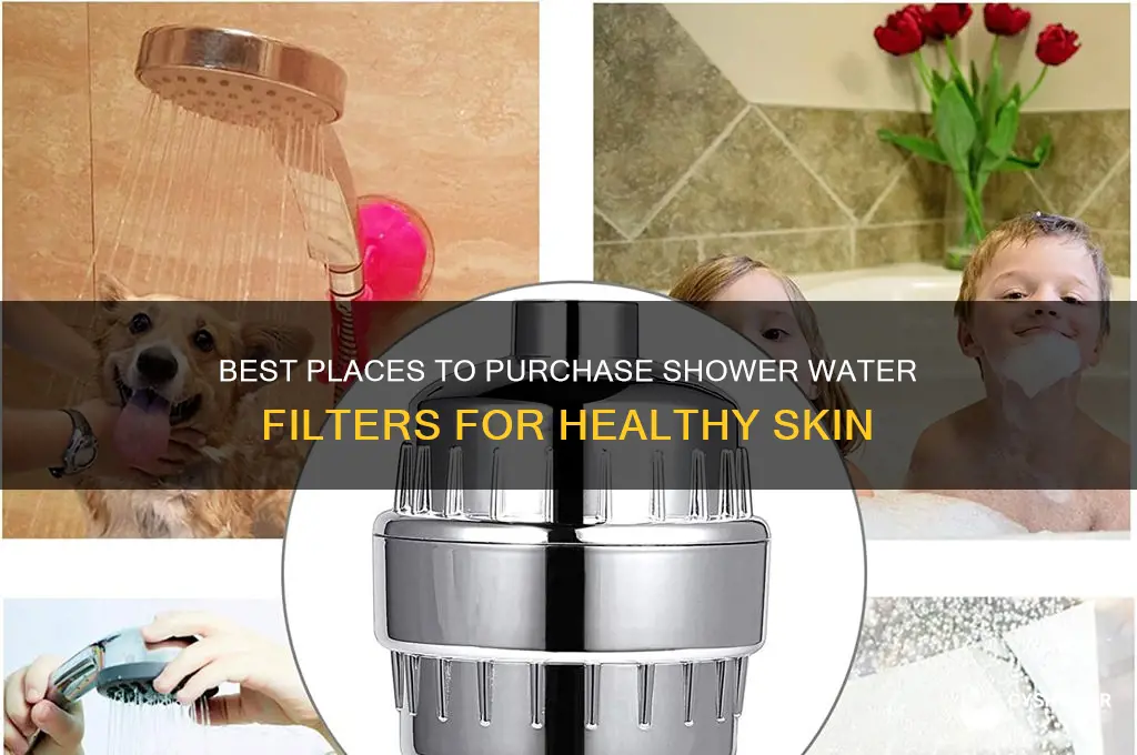 where to buy shower water filter