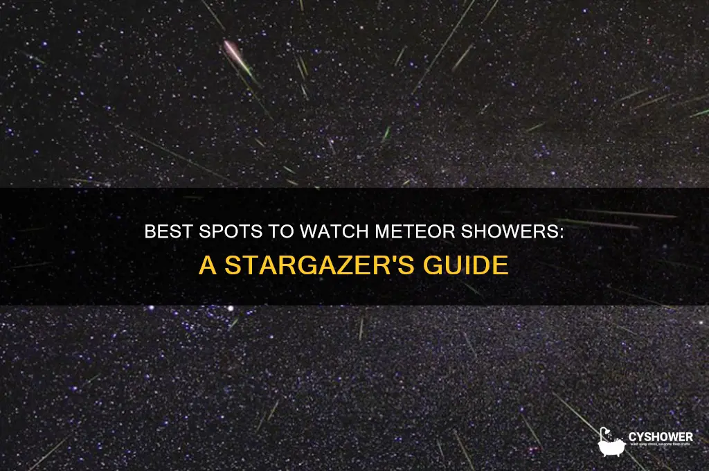 where to catch meteor shower