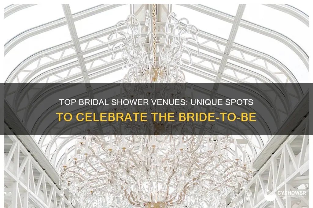 where to celebrate bridal shower