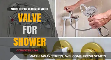 Locate Your Apartment's Shower Water Valve: A Quick Guide