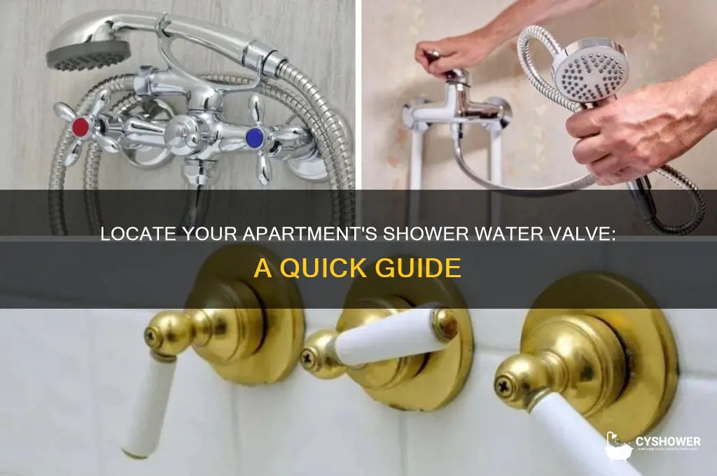 where to find apartment water valve for shower