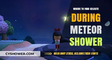 Spotting Celeste Under the Meteor Shower: Best Viewing Locations