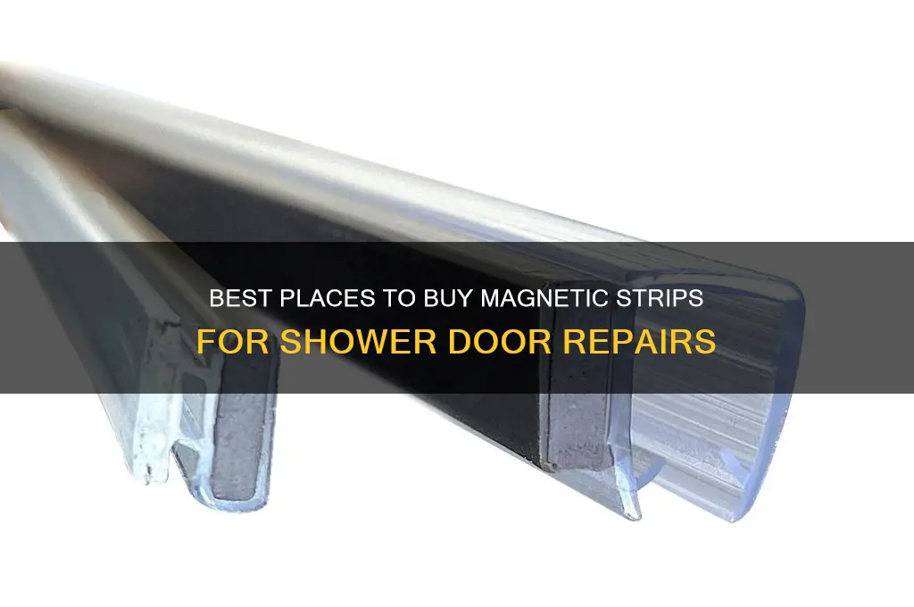 where to find magnetic strips for shower doors replacement