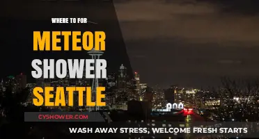 Seattle's Best Meteor Shower Viewing Spots: A Stargazer's Guide