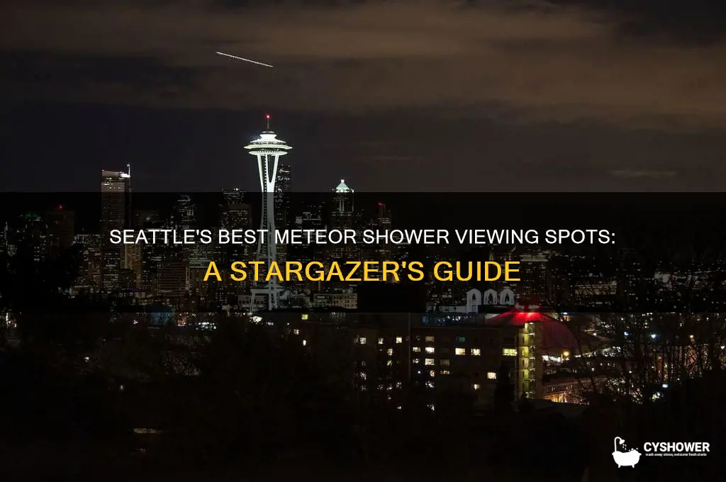 where to for meteor shower seattle