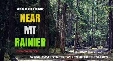Refreshing Stops: Where to Shower Near Mount Rainier National Park