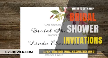 Affordable Bridal Shower Invitations: Top Budget-Friendly Options to Explore