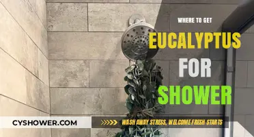 Best Places to Find Eucalyptus for Your Shower Experience