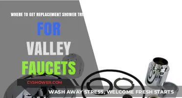 Where to Find Replacement Shower Trim for Valley Faucets
