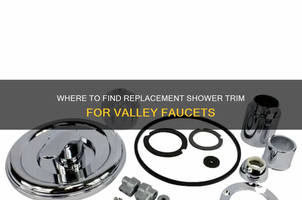 where to get replacement shower trim for valley faucets