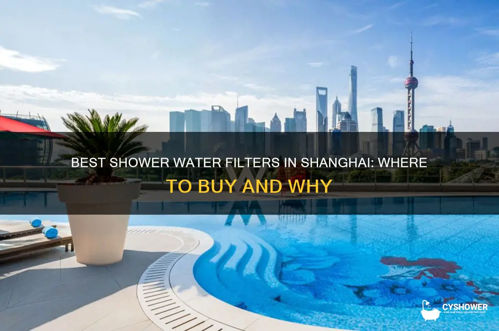 where to get shower water filter shanghai