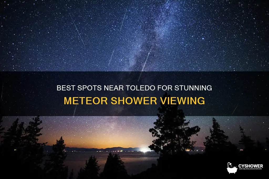 where to go around toledo to see the meteor shower